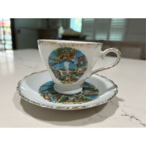 Vintage souvenir teacup & saucer set Yellowstone National Park